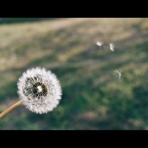 Meet your Posher, Gabi